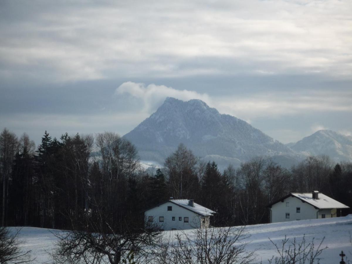 Vorderreithbauer Hof bei Salzburg Exterior foto